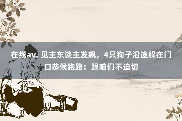 在线av. 见主东谈主发飙，4只狗子沿途躲在门口恭候跑路：跟咱们不迫切