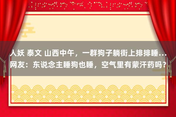 人妖 泰文 山西中午，一群狗子躺街上排排睡…网友：东说念主睡狗也睡，空气里有蒙汗药吗？