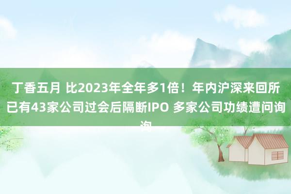 丁香五月 比2023年全年多1倍！年内沪深来回所已有43家公司过会后隔断IPO 多家公司功绩遭问询