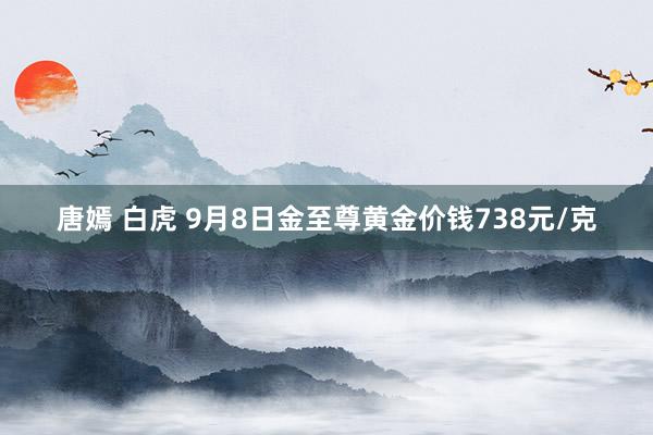 唐嫣 白虎 9月8日金至尊黄金价钱738元/克