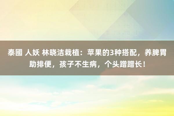 泰國 人妖 林晓洁栽植：苹果的3种搭配，养脾胃助排便，孩子不生病，个头蹭蹭长！