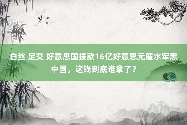 白丝 足交 好意思国拨款16亿好意思元雇水军黑中国，这钱到底谁拿了？