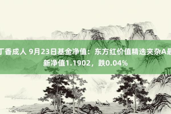 丁香成人 9月23日基金净值：东方红价值精选夹杂A最新净值1.1902，跌0.04%