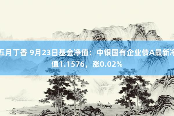 五月丁香 9月23日基金净值：中银国有企业债A最新净值1.1576，涨0.02%