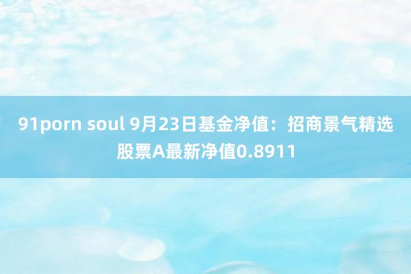 91porn soul 9月23日基金净值：招商景气精选股票A最新净值0.8911