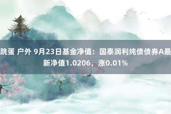 跳蛋 户外 9月23日基金净值：国泰润利纯债债券A最新净值1.0206，涨0.01%