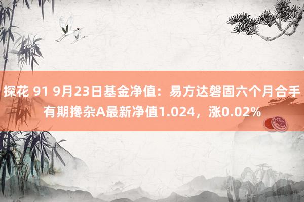 探花 91 9月23日基金净值：易方达磐固六个月合手有期搀杂A最新净值1.024，涨0.02%