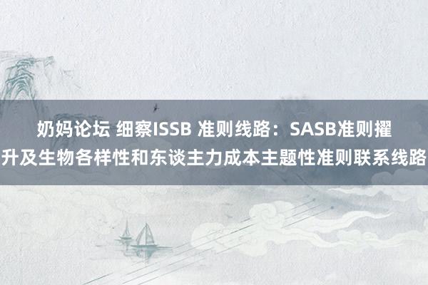 奶妈论坛 细察ISSB 准则线路：SASB准则擢升及生物各样性和东谈主力成本主题性准则联系线路