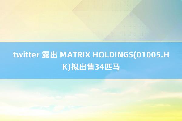 twitter 露出 MATRIX HOLDINGS(01005.HK)拟出售34匹马