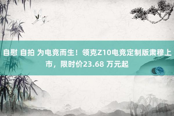 自慰 自拍 为电竞而生！领克Z10电竞定制版肃穆上市，限时价23.68 万元起