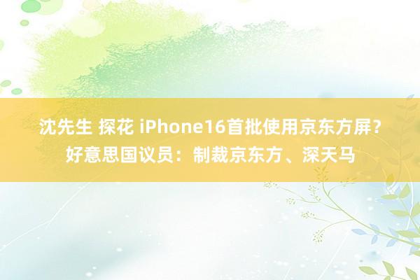 沈先生 探花 iPhone16首批使用京东方屏？好意思国议员：制裁京东方、深天马