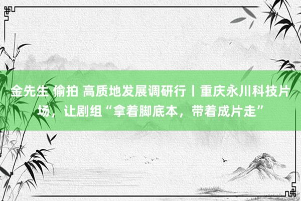 金先生 偷拍 高质地发展调研行丨重庆永川科技片场，让剧组“拿着脚底本，带着成片走”