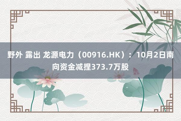 野外 露出 龙源电力（00916.HK）：10月2日南向资金减捏373.7万股