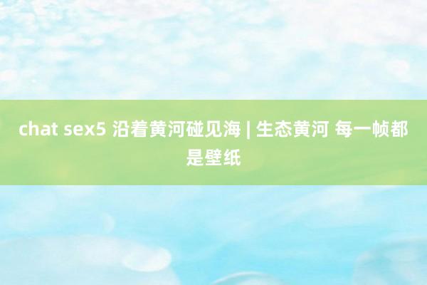 chat sex5 沿着黄河碰见海 | 生态黄河 每一帧都是壁纸