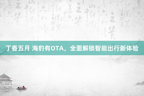 丁香五月 海豹有OTA，全面解锁智能出行新体验