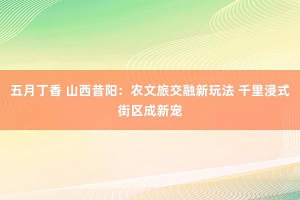 五月丁香 山西昔阳：农文旅交融新玩法 千里浸式街区成新宠