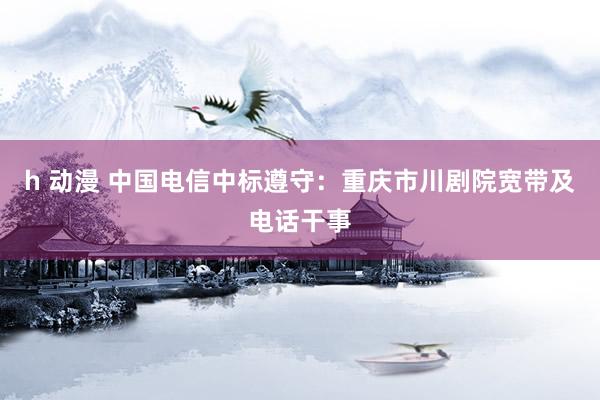 h 动漫 中国电信中标遵守：重庆市川剧院宽带及电话干事