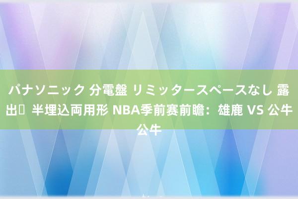 パナソニック 分電盤 リミッタースペースなし 露出・半埋込両用形 NBA季前赛前瞻：雄鹿 VS 公牛