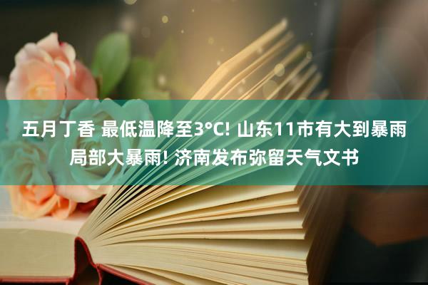 五月丁香 最低温降至3°C! 山东11市有大到暴雨局部大暴雨! 济南发布弥留天气文书