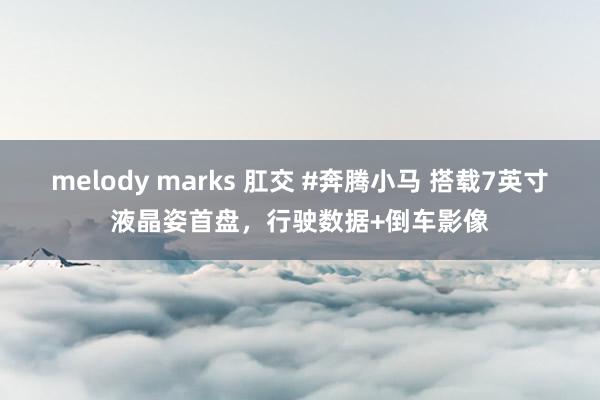 melody marks 肛交 #奔腾小马 搭载7英寸液晶姿首盘，行驶数据+倒车影像