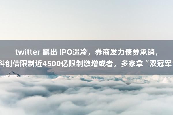 twitter 露出 IPO遇冷，券商发力债券承销，科创债限制近4500亿限制激增或者，多家拿“双冠军”