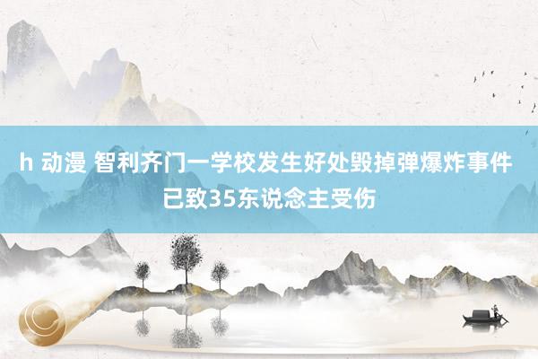 h 动漫 智利齐门一学校发生好处毁掉弹爆炸事件 已致35东说念主受伤