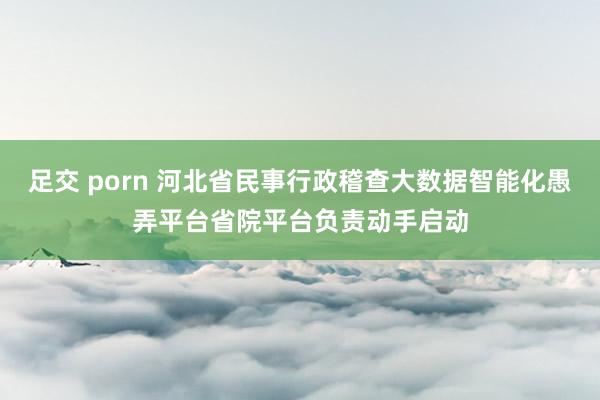 足交 porn 河北省民事行政稽查大数据智能化愚弄平台省院平台负责动手启动