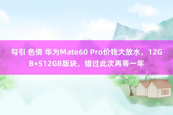 勾引 色情 华为Mate60 Pro价钱大放水，12GB+512GB版块，错过此次再等一年