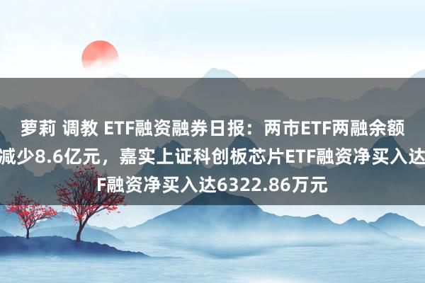 萝莉 调教 ETF融资融券日报：两市ETF两融余额较前一往异日减少8.6亿元，嘉实上证科创板芯片ETF融资净买入达6322.86万元