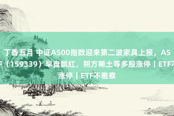 丁香五月 中证A500指数迎来第二波家具上报，A500ETF（159339）早盘飘红，朔方稀土等多股涨停丨ETF不雅察