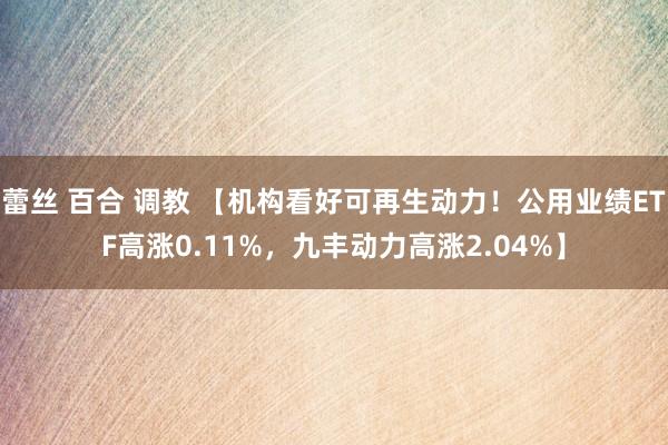 蕾丝 百合 调教 【机构看好可再生动力！公用业绩ETF高涨0.11%，九丰动力高涨2.04%】