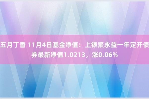 五月丁香 11月4日基金净值：上银聚永益一年定开债券最新净值1.0213，涨0.06%