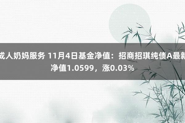 成人奶妈服务 11月4日基金净值：招商招琪纯债A最新净值1.0599，涨0.03%