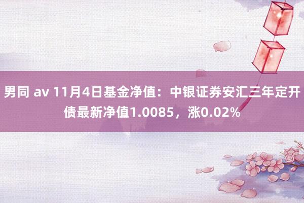 男同 av 11月4日基金净值：中银证券安汇三年定开债最新净值1.0085，涨0.02%