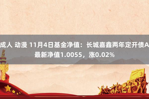 成人 动漫 11月4日基金净值：长城嘉鑫两年定开债A最新净值1.0055，涨0.02%