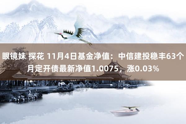 眼镜妹 探花 11月4日基金净值：中信建投稳丰63个月定开债最新净值1.0075，涨0.03%