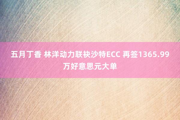 五月丁香 林洋动力联袂沙特ECC 再签1365.99万好意思元大单