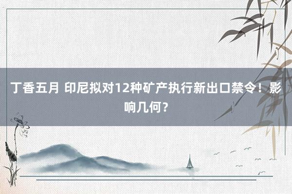 丁香五月 印尼拟对12种矿产执行新出口禁令！影响几何？