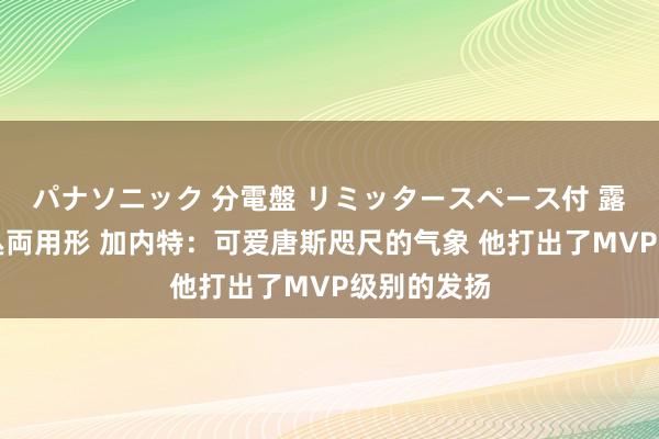 パナソニック 分電盤 リミッタースペース付 露出・半埋込両用形 加内特：可爱唐斯咫尺的气象 他打出了MVP级别的发扬