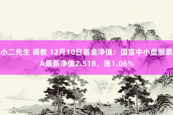 小二先生 调教 12月10日基金净值：国富中小盘股票A最新净值2.518，涨1.06%