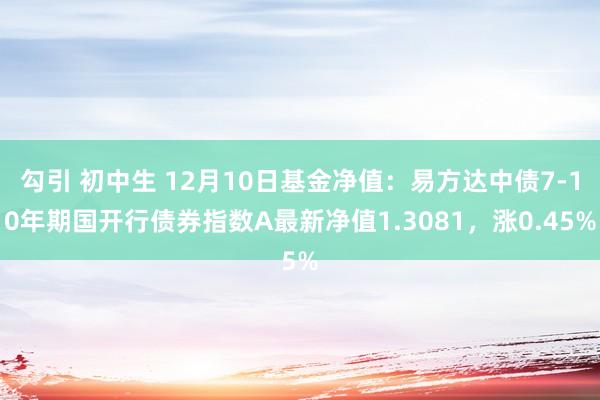 勾引 初中生 12月10日基金净值：易方达中债7-10年期国开行债券指数A最新净值1.3081，涨0.45%