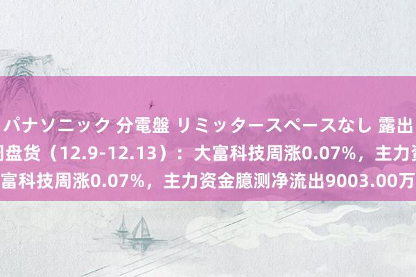 パナソニック 分電盤 リミッタースペースなし 露出・半埋込両用形 本周盘货（12.9-12.13）：大富科技周涨0.07%，主力资金臆测净流出9003.00万元