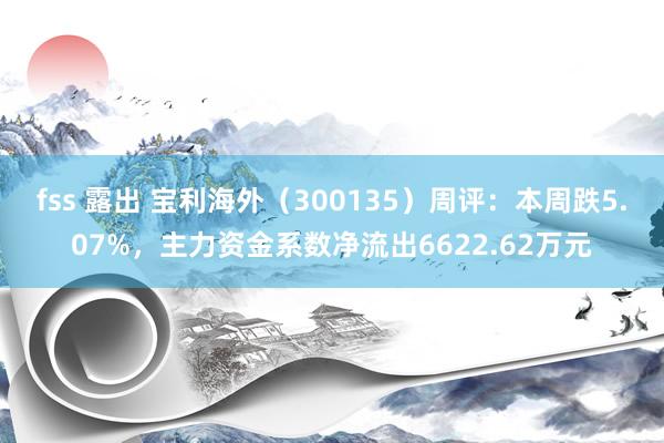 fss 露出 宝利海外（300135）周评：本周跌5.07%，主力资金系数净流出6622.62万元