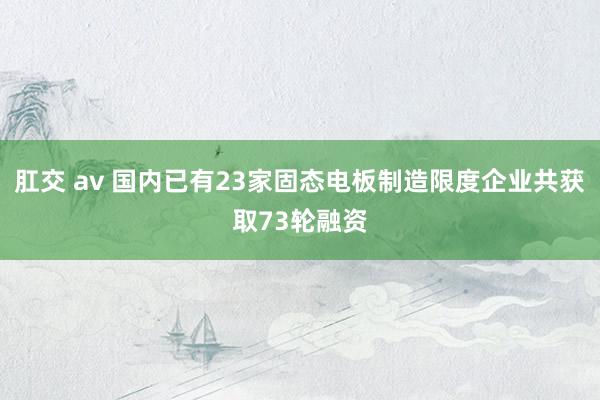 肛交 av 国内已有23家固态电板制造限度企业共获取73轮融资