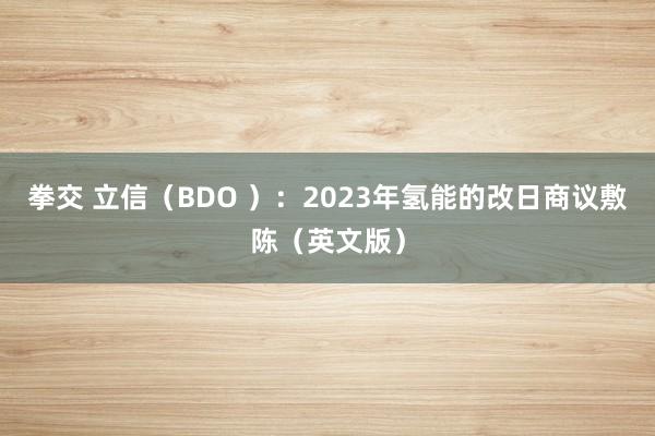 拳交 立信（BDO ）：2023年氢能的改日商议敷陈（英文版）