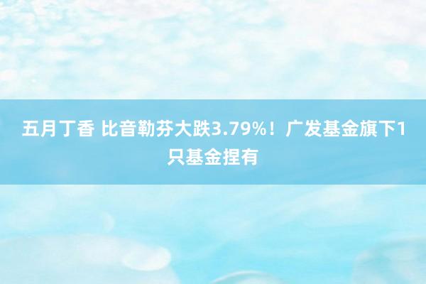 五月丁香 比音勒芬大跌3.79%！广发基金旗下1只基金捏有