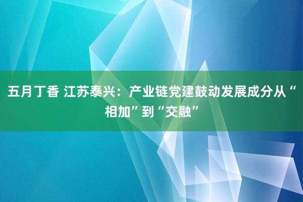 五月丁香 江苏泰兴：产业链党建鼓动发展成分从“相加”到“交融”