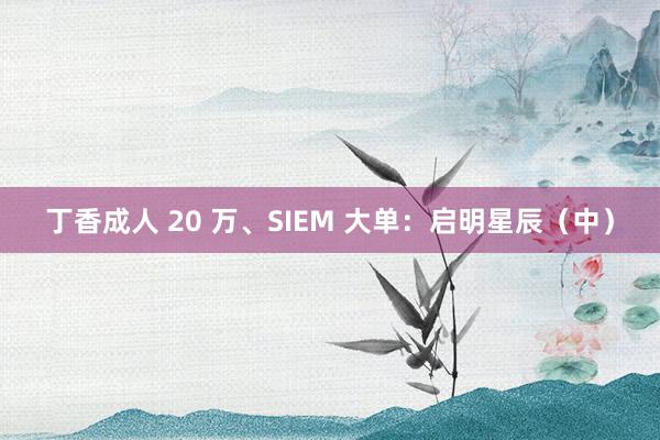 丁香成人 20 万、SIEM 大单：启明星辰（中）