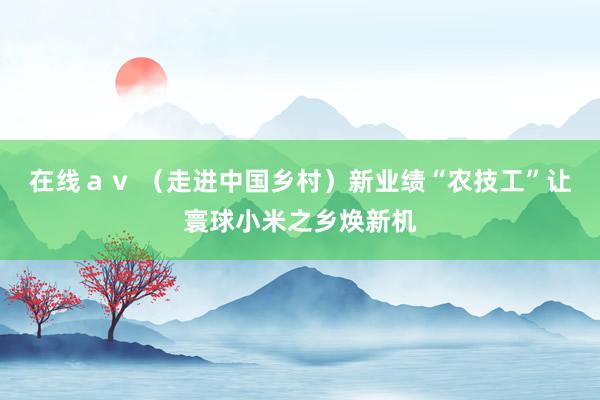 在线ａｖ （走进中国乡村）新业绩“农技工”让寰球小米之乡焕新机