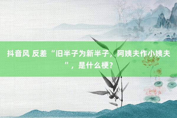 抖音风 反差 “旧半子为新半子，阿姨夫作小姨夫”，是什么梗？